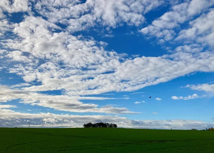 Pensión Landgasthof Meja